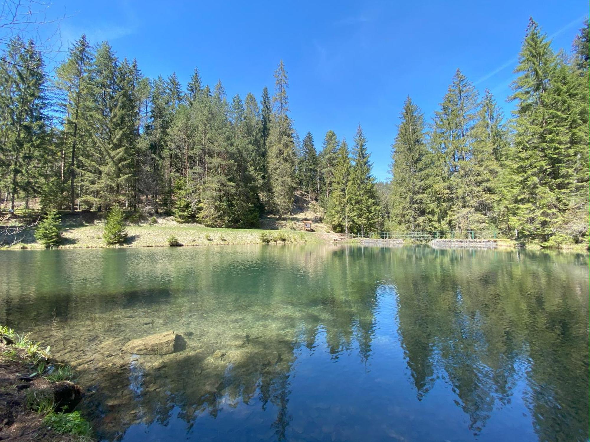 Penzion Pod Guglom Mlynky Buitenkant foto