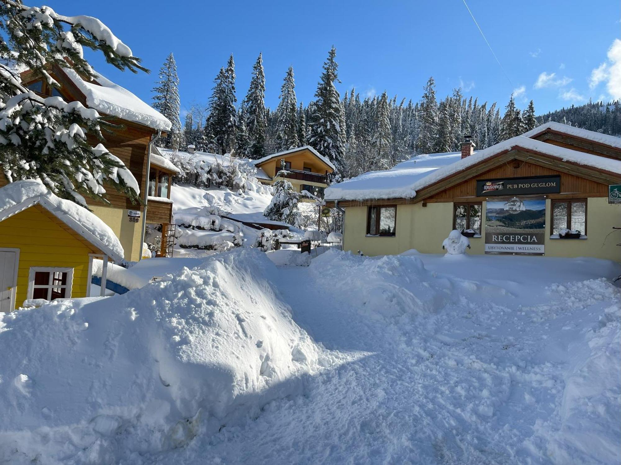 Penzion Pod Guglom Mlynky Buitenkant foto