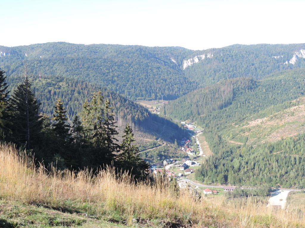 Penzion Pod Guglom Mlynky Buitenkant foto
