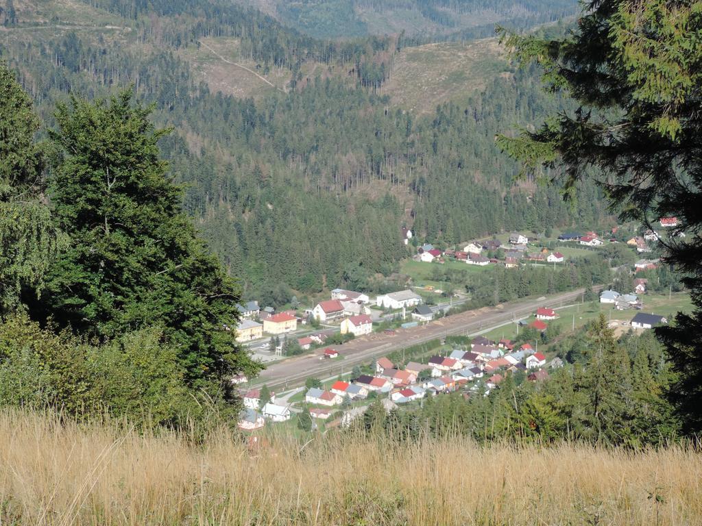 Penzion Pod Guglom Mlynky Buitenkant foto